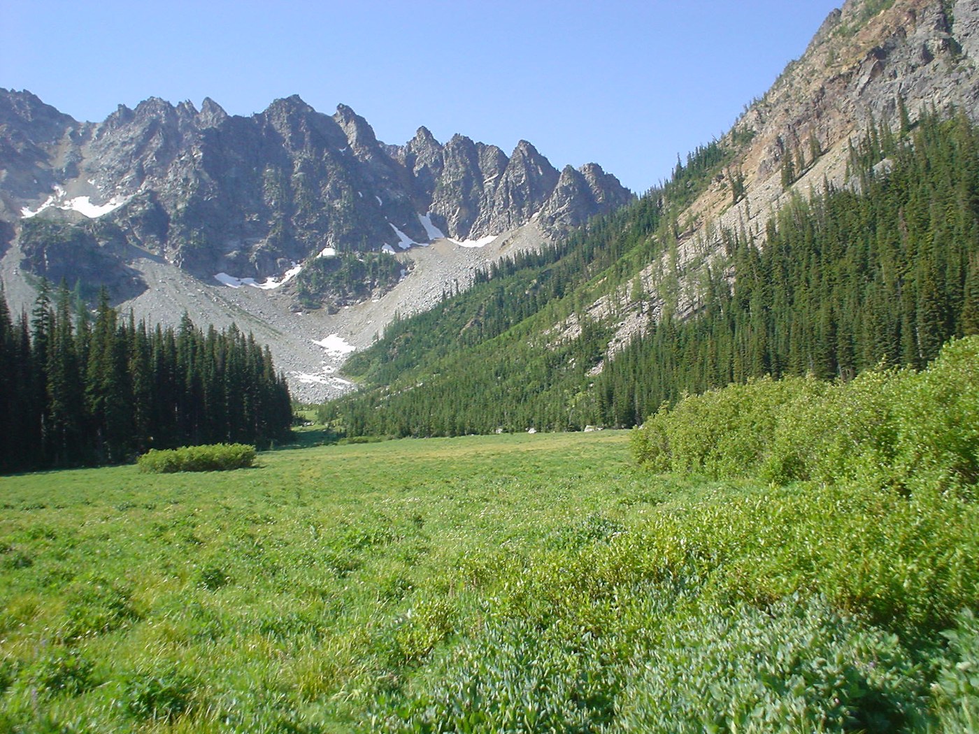 Emerald Park — Washington Trails Association